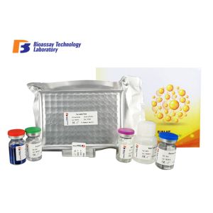 Cheap Sorbitol Dehydrogenase Sandwich Bovine ELISA Kits 96 Wells Plate ISO Approval for sale