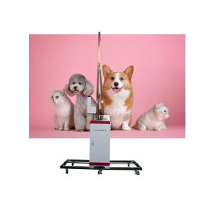 Large Format Vertical Inkjet Wall Printer 720*1080dpi two EPS heads