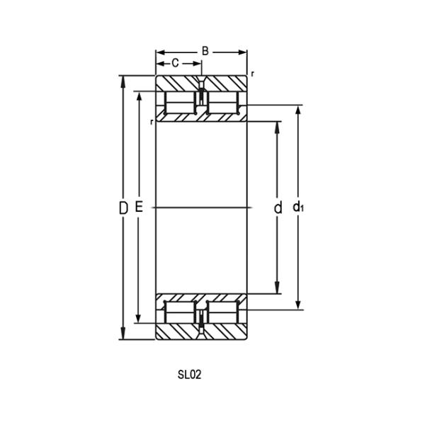 No Cage Double Row Full Complement Cylindrical Roller Bearings SL02 4912 SL02 4922