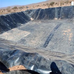 Chemical Resistant Fish Farm HDPE Geomembrane Circular Tanks for Chinese Design