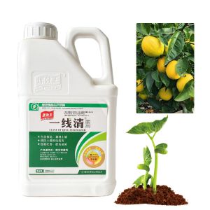 100% Soluble Soil Conditioner Fertilizer Seaweed Extract For Promoting Plants