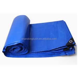 Customizable PE Tarpaulin Roll for Truck and Storage Cover in Different
