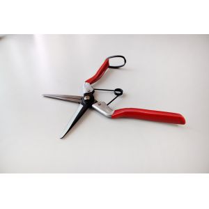 SINSEUNG X1 Hardware Scissors Onion Scissors Spring And Ambidextrous Structure