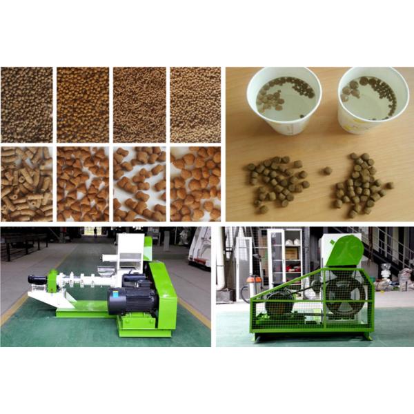 Small Fish Pellet Extruder Animal Feed Pellet Making Machine 30 Kg/H 40 Kg/H