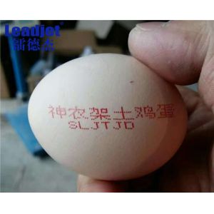 1-6 Lines Egg Inkjet Printer , Automatic Batch Coding Machine With Food Grade