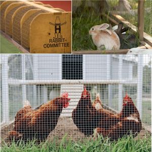 Hot Selling Good Quality New Product High Quality Welded Wire Mesh Fence