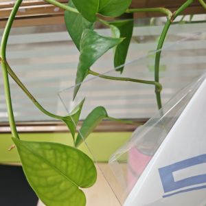 Plastic Polycarbonate Sheet Known for High Tensile Strength and Durability