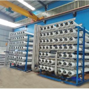 1000000 Liter / Day Reverse Osmosis Water Purification Equipment For Suger Mill