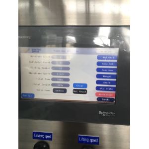 2500 BPH Piston Liquid Filling Machine Agricultural Pesticide Filling Machine