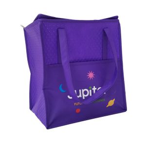 Customized Medical Cold Chain Cooler Shipping Container Bag with Temperature