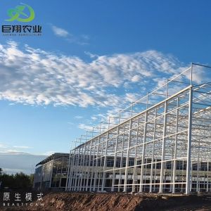 China Double Layer Modern Multi-Span High Tunnel Glass Hydroponic Greenhouse for Agriculture on sale