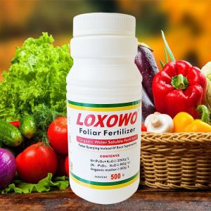 High Quality Root Hydroponic Liquid Plant Fertilizer Trusted Manufacturer