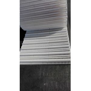 Customized Vegetable Washing Machine Plastic Mesh Conveyor Belt