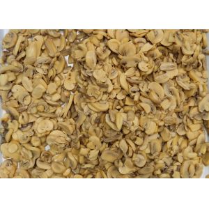 2840g Unlacquered Canned Champignon Mushroom Pieces And Stems