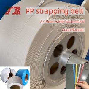 Plastic PP Packing Strap With 5-19mm Width Color Customized Use For Carton Egg