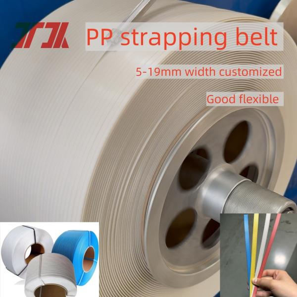 5-19mm Customized Recycle Polypropylene Plastic PP Band Strapping Belt Roll Pp
