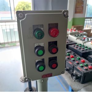 Petrochemical Control Box Panel With ATEX CNEX Rated IP66 WF2 Protection AC110