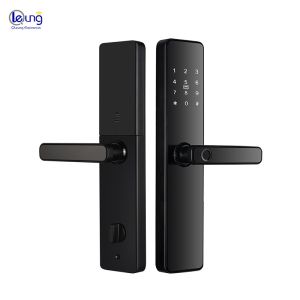 Intelligent Access Control Door Lock S819 with Tuya TTlock and Remote Control