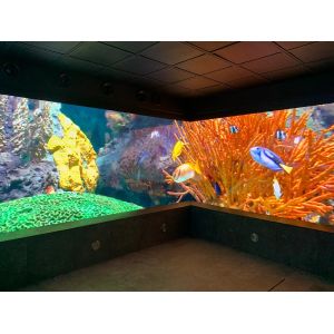 Die-Casting Aluminum Rental Screen P3.91 RGB LED Display/LED Digital Display