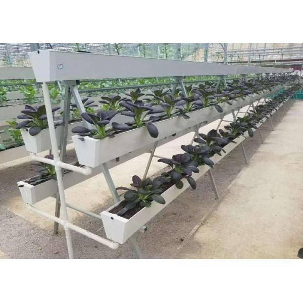 Strawberry Hydroponic Growing System Vertical Planting Cultivation PVC Gutter Indoors For Home
