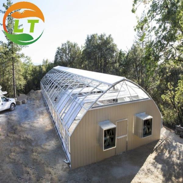 Quality Designable Length Light Sensitive Greenhouse for Growing Mushrooms in PE Material wholesale