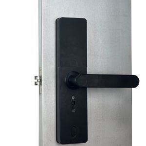 Residence Tuya Smart Fingerprint Lock / Safety Digital Fingerprint Door Lock