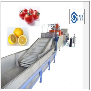 automatic fruit apple washing and waxing and sorting macine fruit sorting