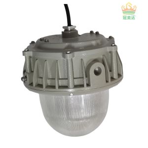 Explosion Proof LED Fixture Zone 1 2 IP66 Outdoor/Indoor Area Lighting for GAS