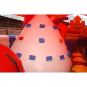 Teenagers Inflatable Bouncy Castle For Theme Park Tear Resistance