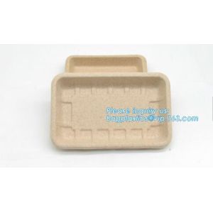 Biodegradable & Compostable 8 inchSquare sugarcane trays,sugarcane pulp