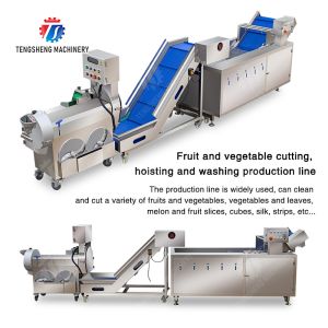 Fruit and vegetable cutting, hoisting and washing production line Fruit