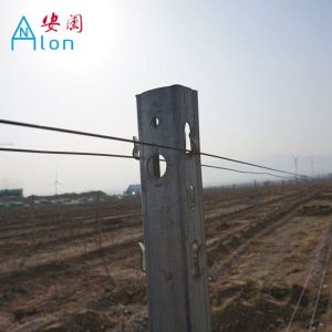 Waterproof U Shaped Fence Post , 6 Feet Metal Trellis Posts Easy Installation