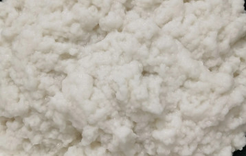 Mechanical Pulp Specialized Enzyme Complex Enzyme Reduces Hardness Of The Final