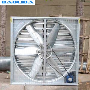 Large Size Greenhouse Cooling System / Fan Pad Cooling System In Greenhouse