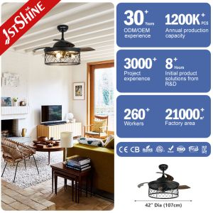 Customized Design 1stshine Ceiling Fan with Hidden Blades and LED Light in Black