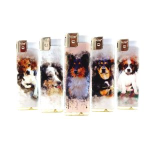 ISO9001 Certification Custom Cigarette Butane Gas Plastic Electric Disposable