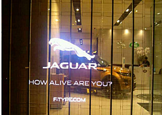 Quality Window Transparent LED Display Fanless Design / Convenient Maintenance wholesale