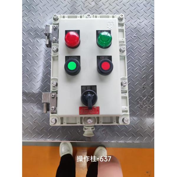 Quality Explosion Proof 220V Flameproof Control Panel with Breaker Panel Cabinet wholesale
