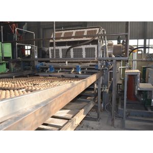 Egg Tray Production 3000pcs Paper Tray wine trays Forming Machine