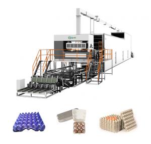 China ODM Automatic Egg Tray Forming Machine Customized For Industrial on sale