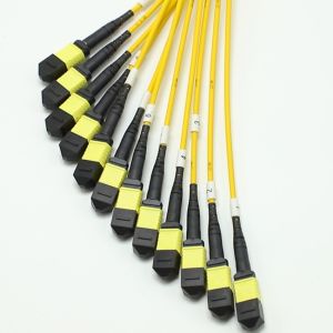 144F MTP MPO Fanout Cable SMG657A1 MPO APC to MPO APC Breakout Fiber Optic Patch