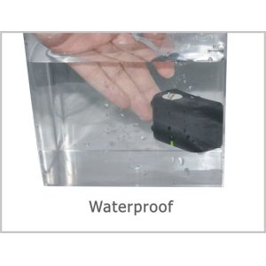 Light Weight Remote Pet Training Collar Waterproof With No Bark