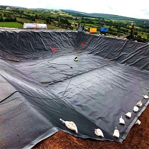 Waterproof Geomembrane for Agriculture Fish Pond Shrimp Liner 1mm 2mm Industrial