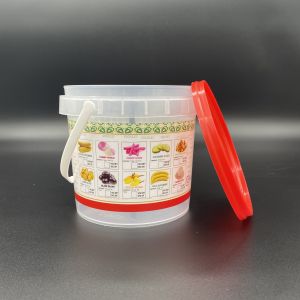 China Maximize Storage Space with Durable and Transparent Translucent Plastic Container on sale