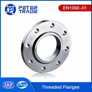 China EN1092-01 Type 13 PN40 Carbon Steel/Stainless Steel Threaded Flange THRF For Wastewater Treatment on sale