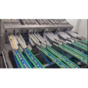 China 12 Lanes 12 Outlets Cashew Sorting Machine 1000kgs/Hour with 360° Rotating Scanning and Deep Learning Technology on sale China 12 Lanes 12 Outlets Cashew Sorting Machine 1000kgs/Hour with 360° Rotating Scanning and Deep Learning Technology on sale