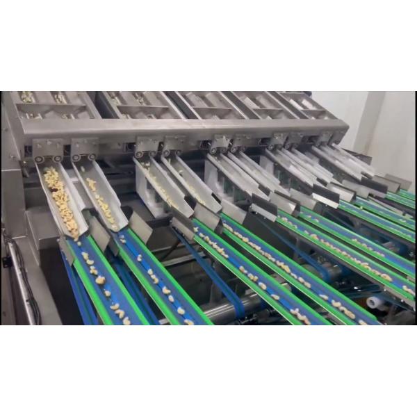 Quality 12 Lanes 12 Outlets Cashew Sorting Machine 1000kgs/Hour with 360° Rotating Scanning and Deep Learning Technology wholesale