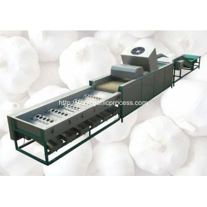 Automatic Garlic Sorting Machine with Brusher Cleaning Function