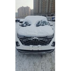 Hyundai CUSTO Korean Gasoline Car 2023 New Model Luxury Top Version