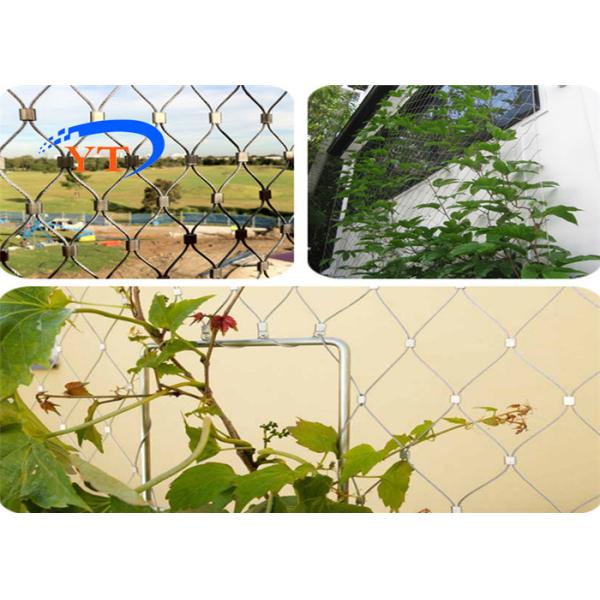 1.2mm Climbing Plant Support Wire Rope Netting 30x30mm Diamond Hole